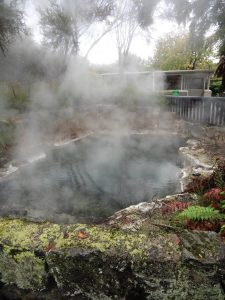 THe geothermal pools of sulphur around the town of Rotorua in the North Island