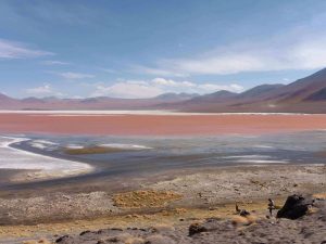 The red lake in Bolivia 