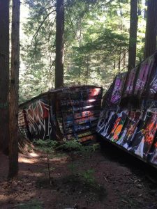 Two boxcars covered in graffiti at the train wreck in Cheakamus