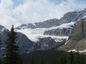Crowfoot Glacier Jasper National Park